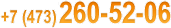 +7 (473) 260-52-06